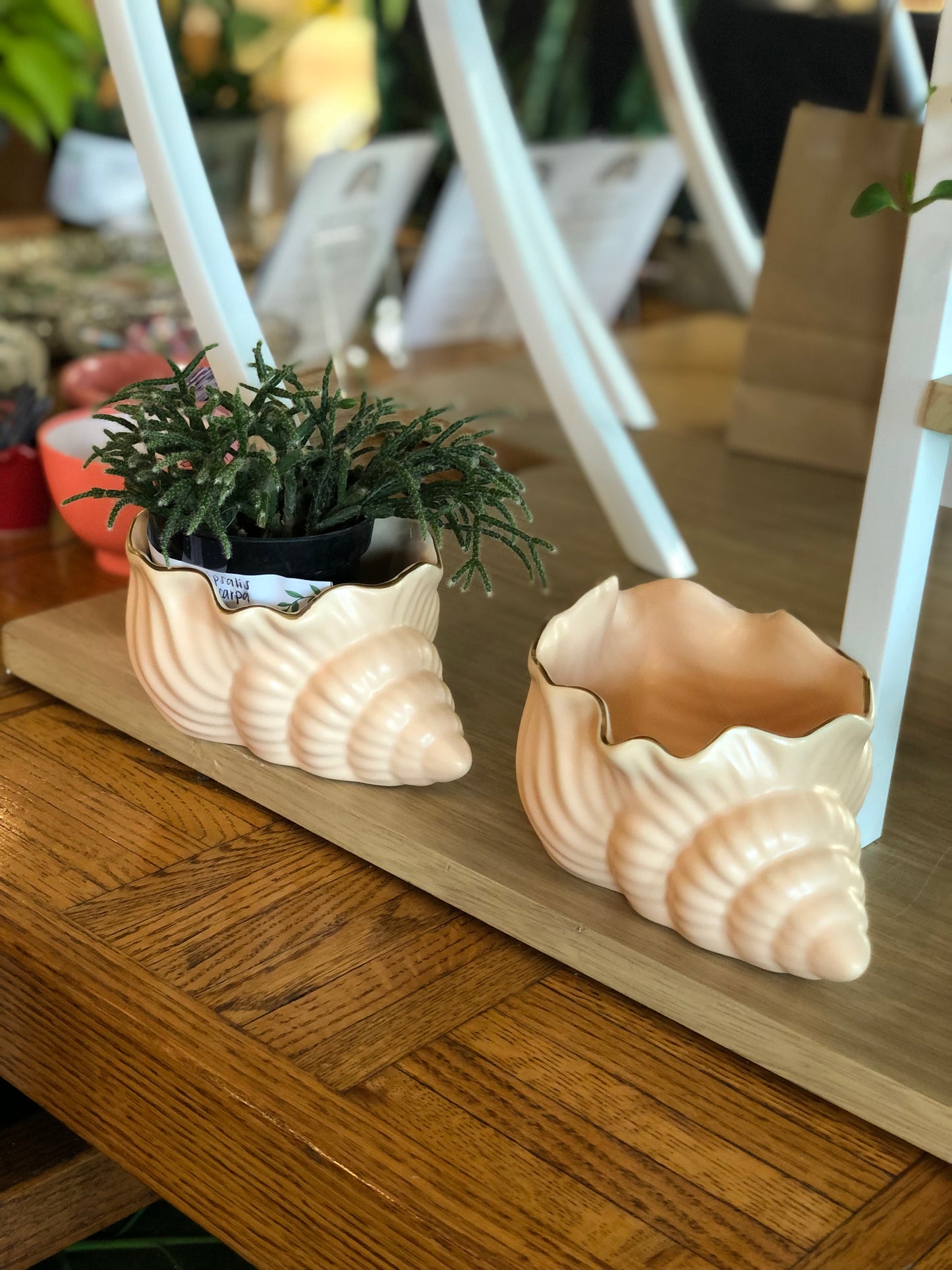 Siren Shell Planter | Vanilla