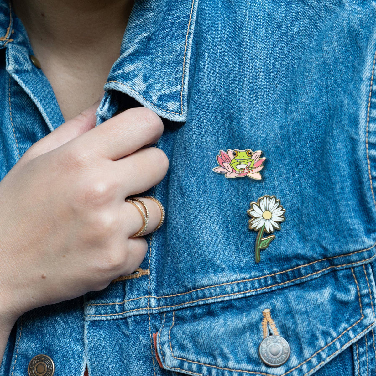Tree Frog & Lily Pin, Nature Wildlife Gifts