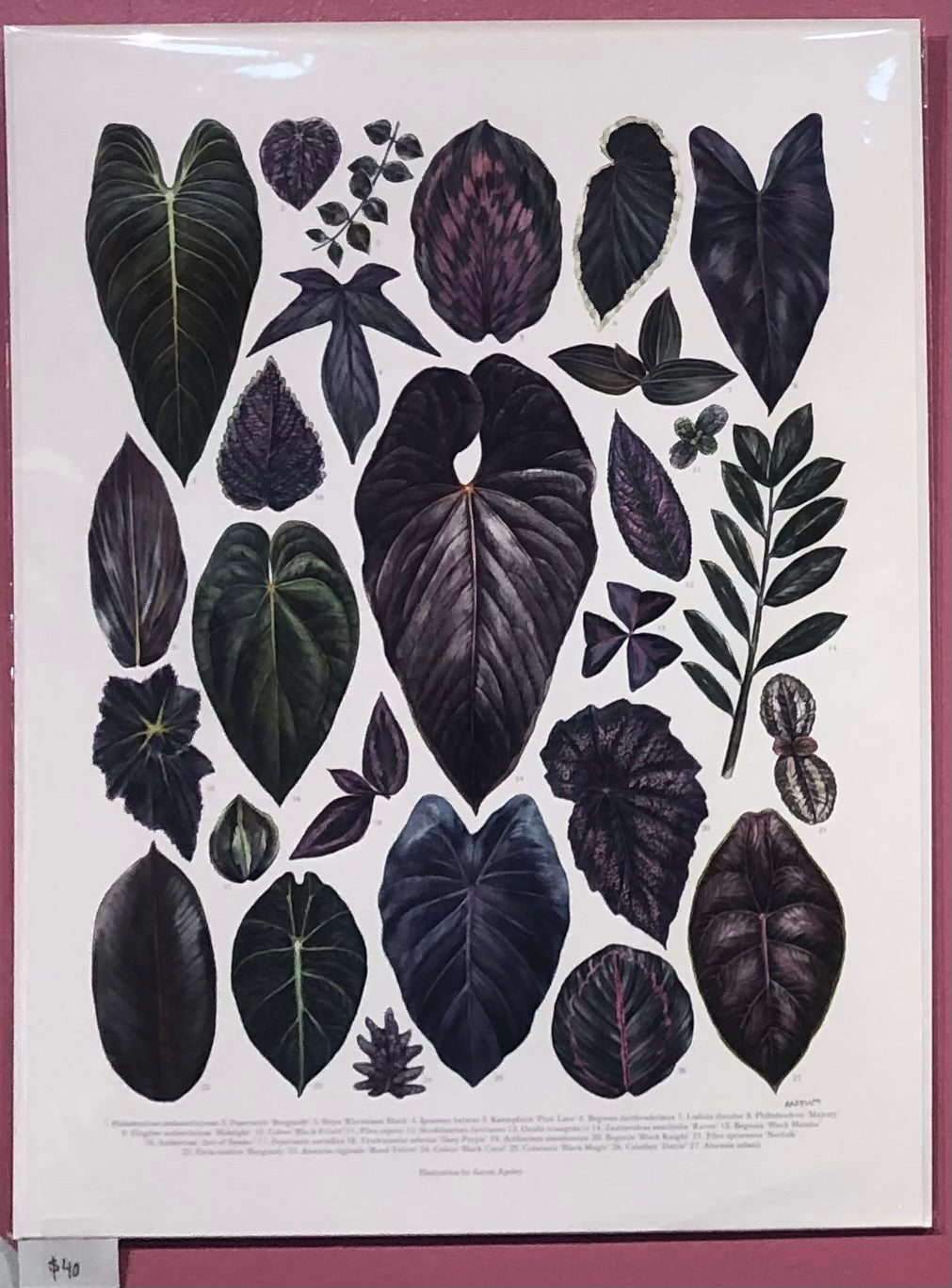 Wall Art