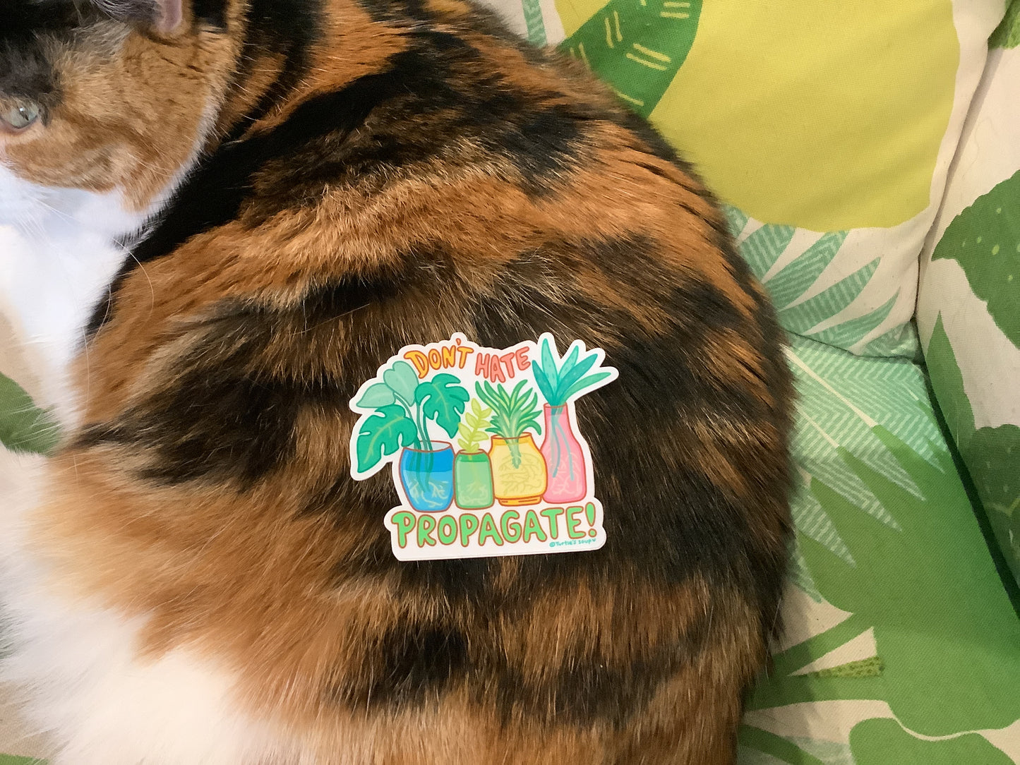 Propagate don’t hate sticker