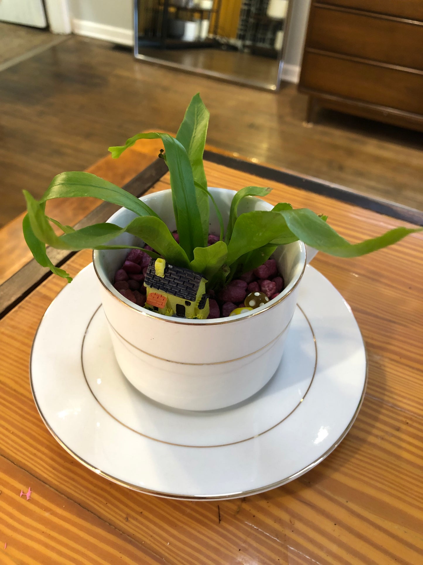Tea Cup Planter
