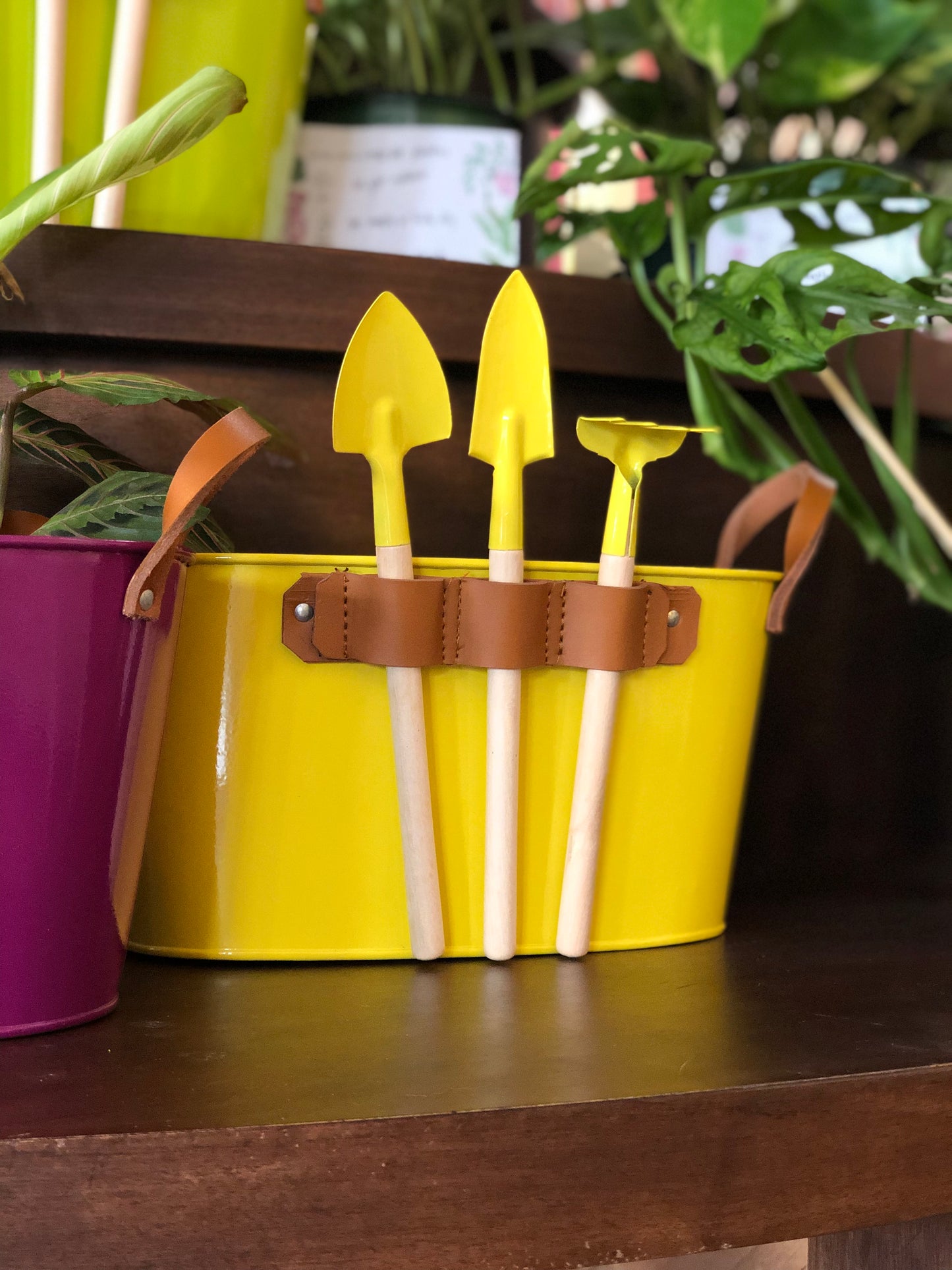 Planter with matching tools