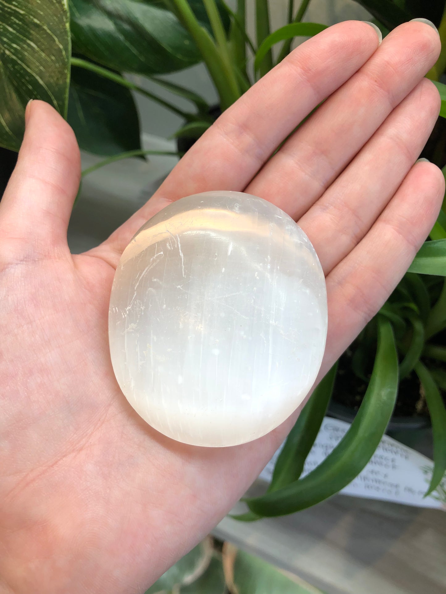 Selenite Palm Stone
