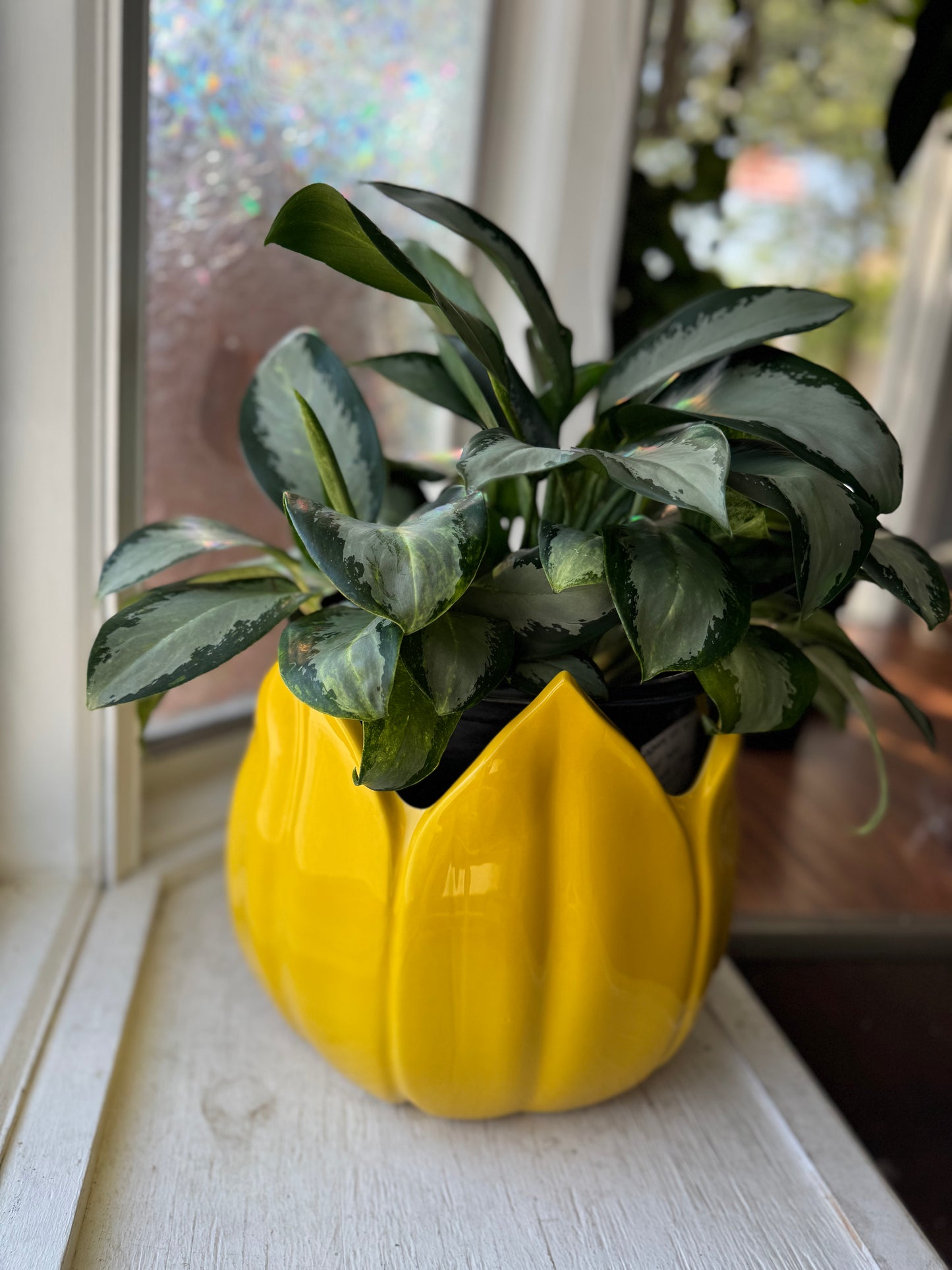 Yellow Tulip Pot
