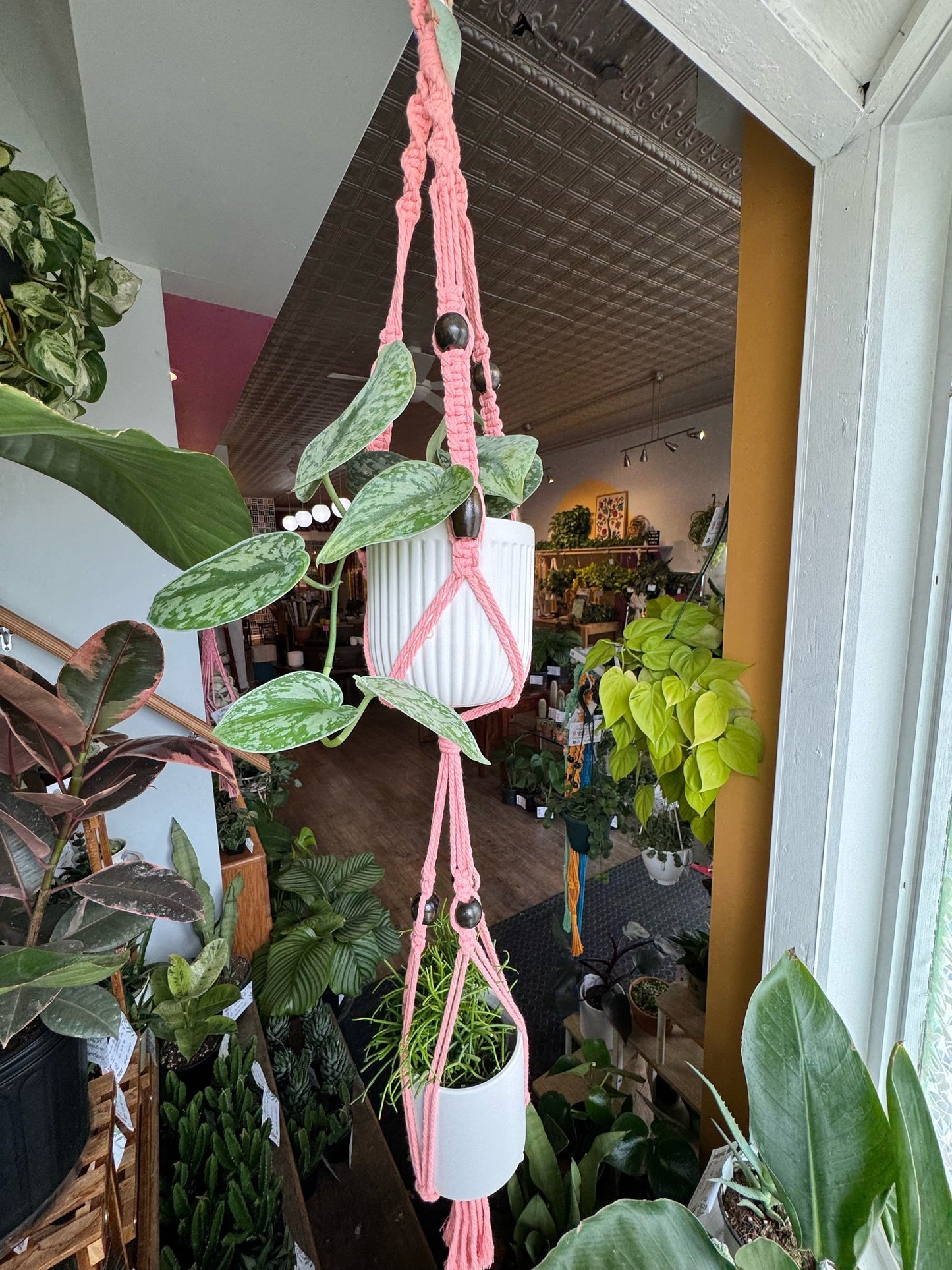 Macrame Hanger w/ Woven Handle