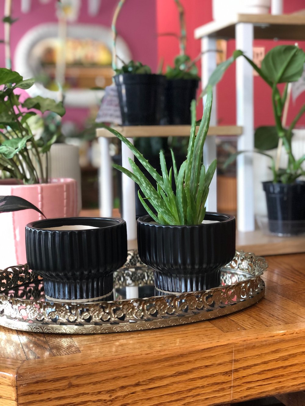 Black pedestal pot