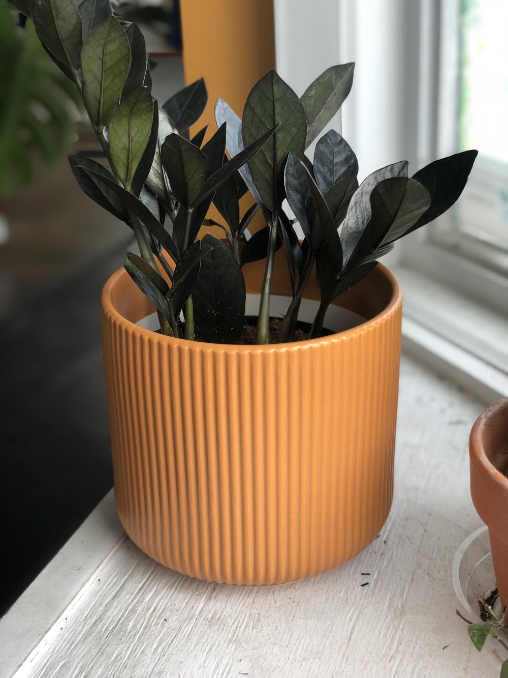 Dusty orange planter