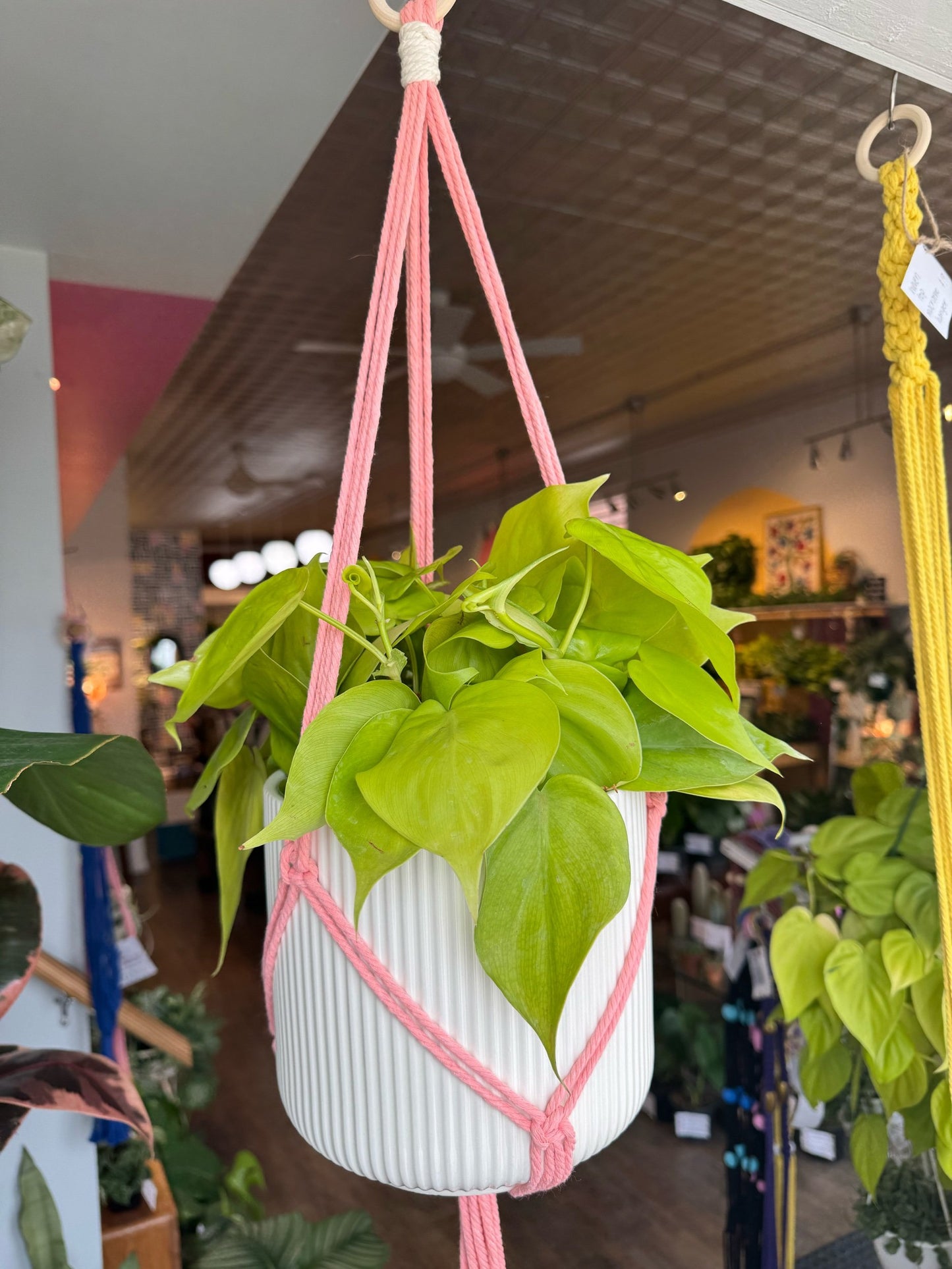 Macrame Hanger w/ Wooden Hoop