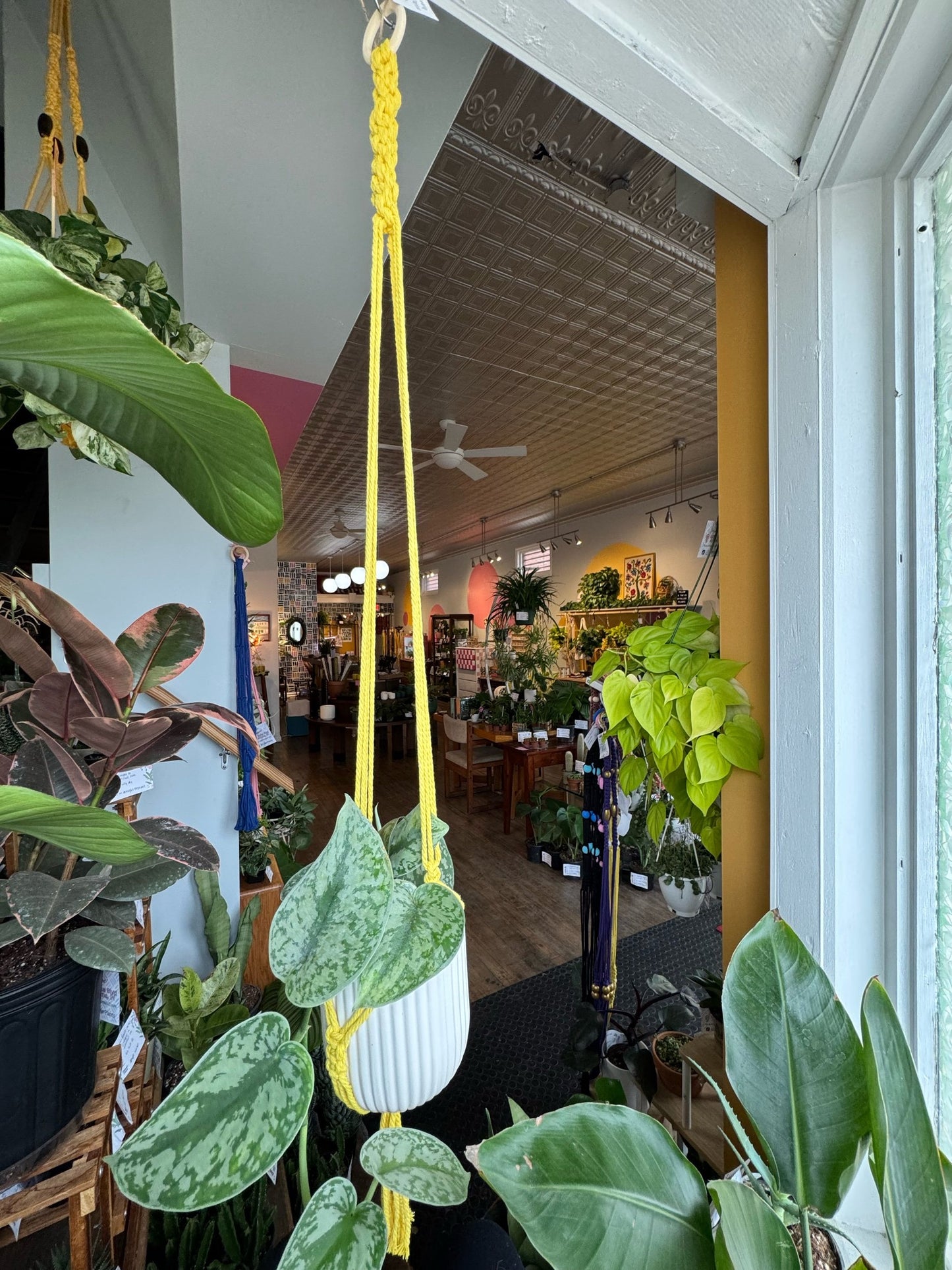 Macrame Hanger w/ Wooden Hoop