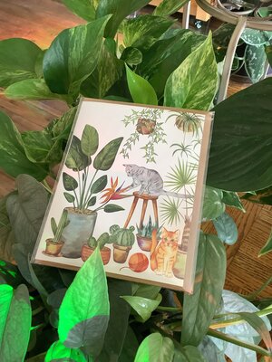 Plants and cats greeting card