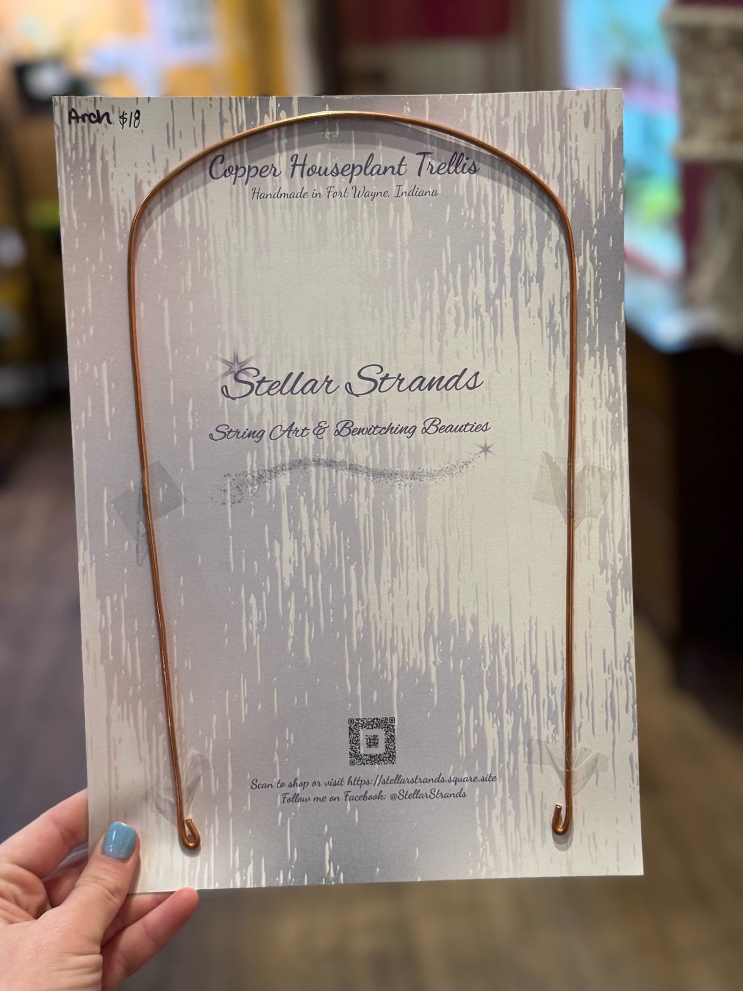 Stellar Strands Houseplant Trellises