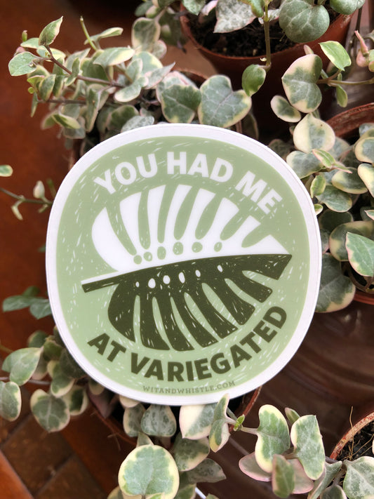 You Had Me at Variegated sticker