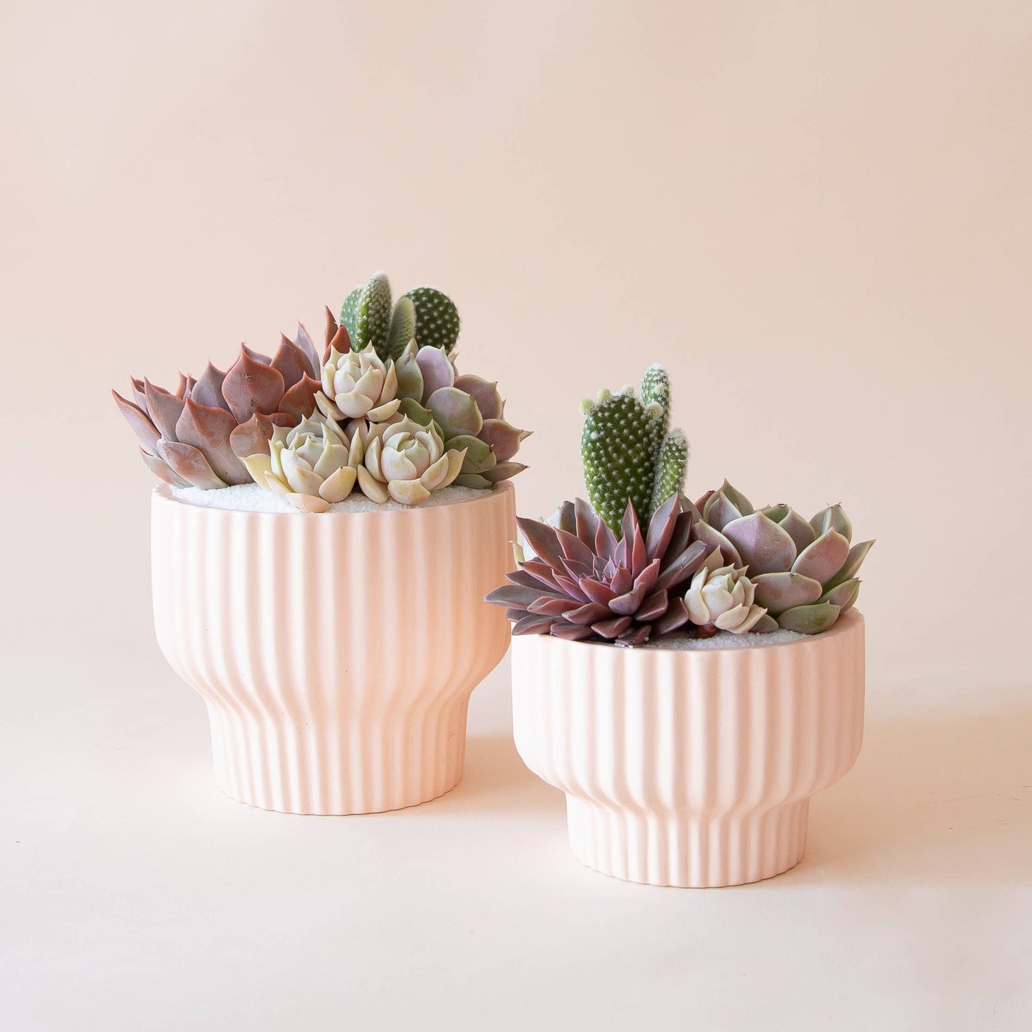 Presley Pedestal Planter | Ballerina / pink