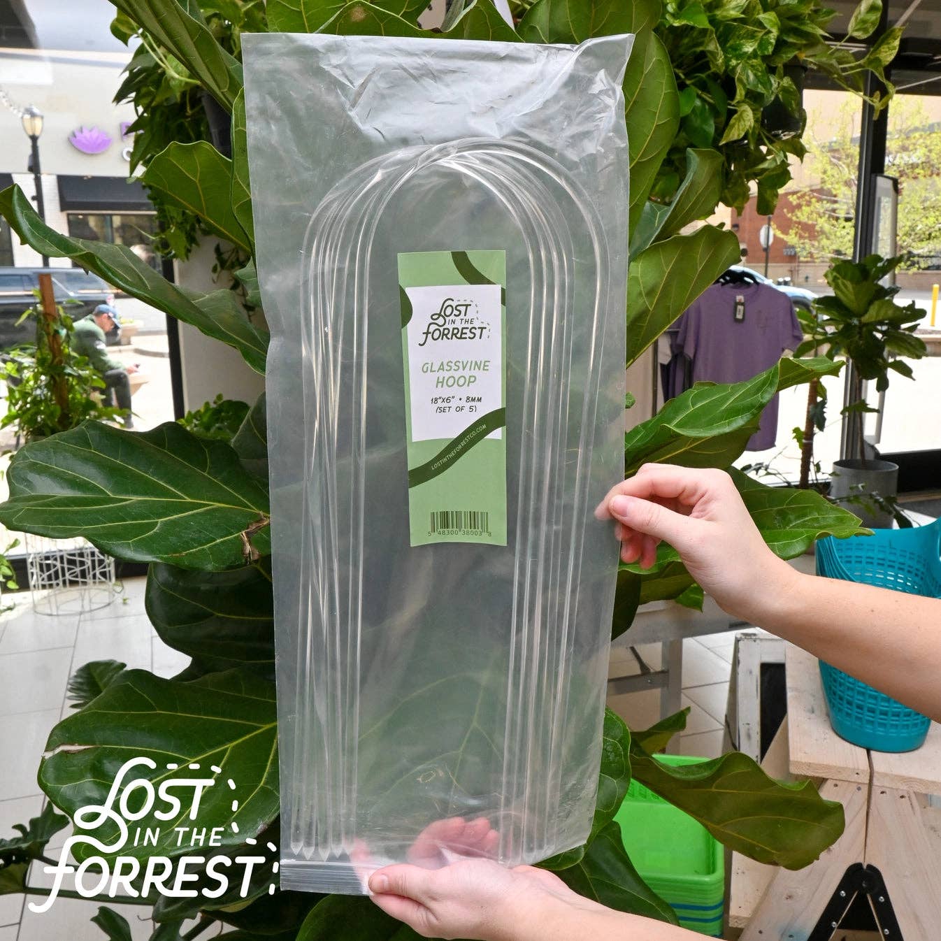 Clear acrylic hoop