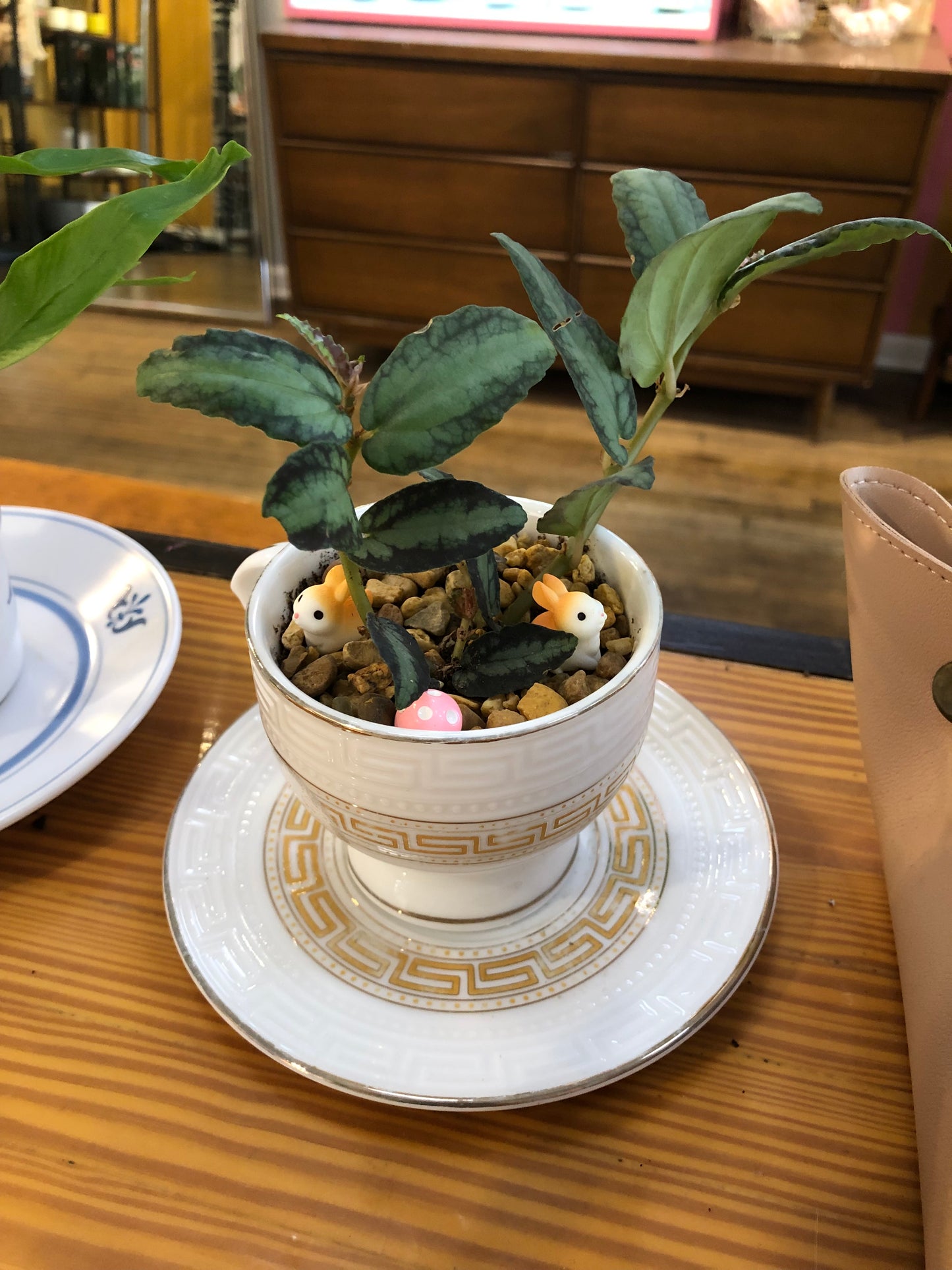 Tea Cup Planter