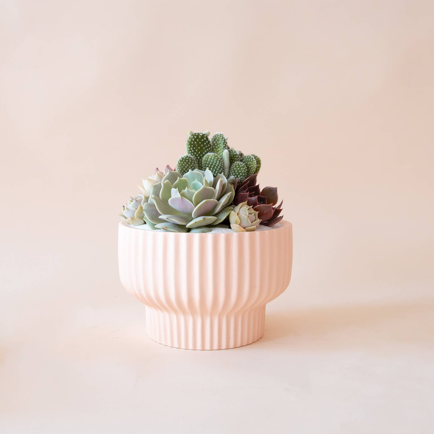 Presley Pedestal Planter | Ballerina / pink