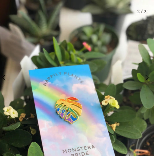 Rainbow monstera pin