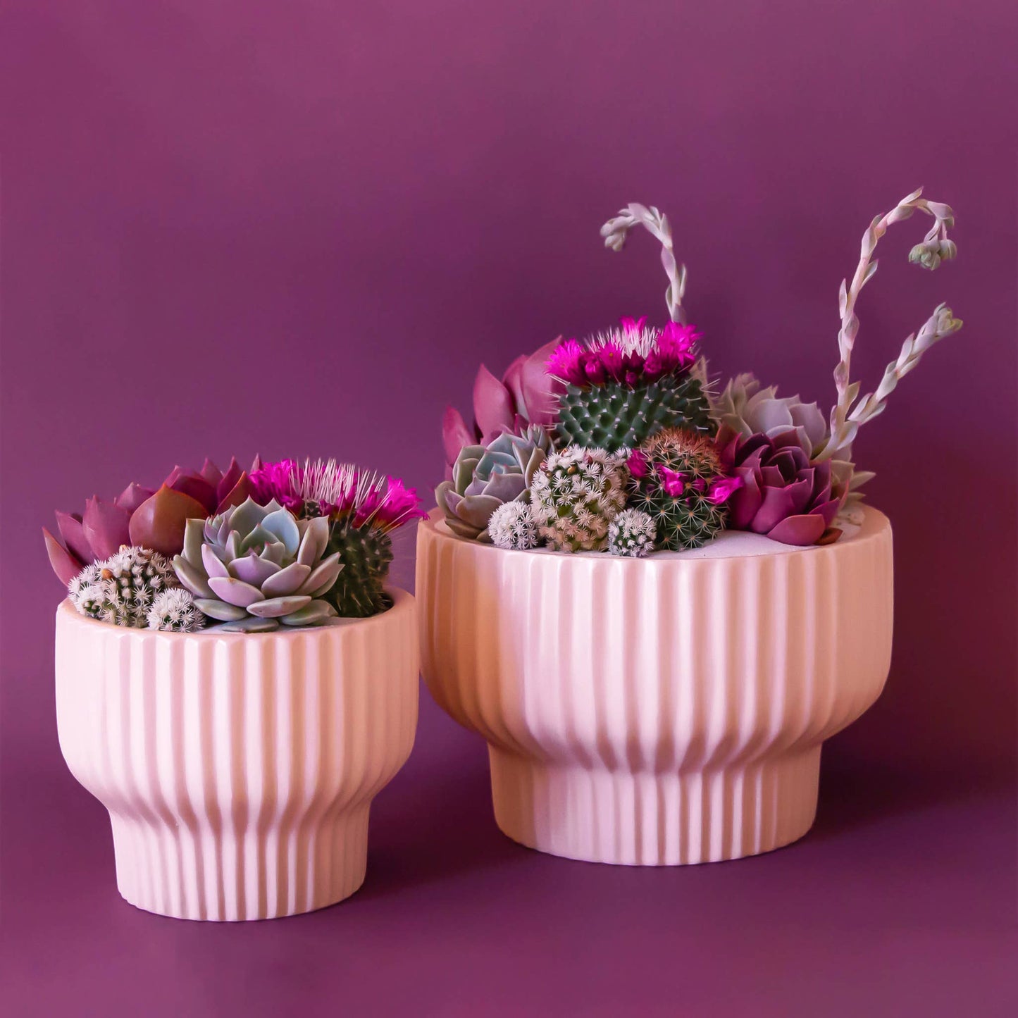 Presley Pedestal Planter | Ballerina / pink