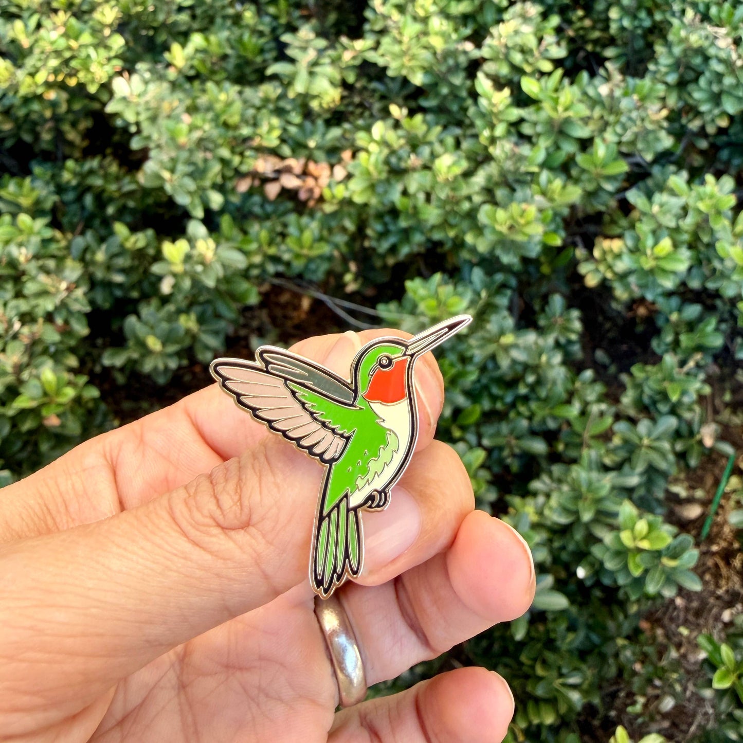 Hummingbird Enamel Pin Ruby-Throated Hummingbird Pin