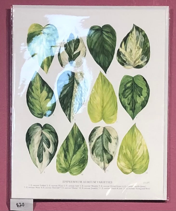 Wall Art