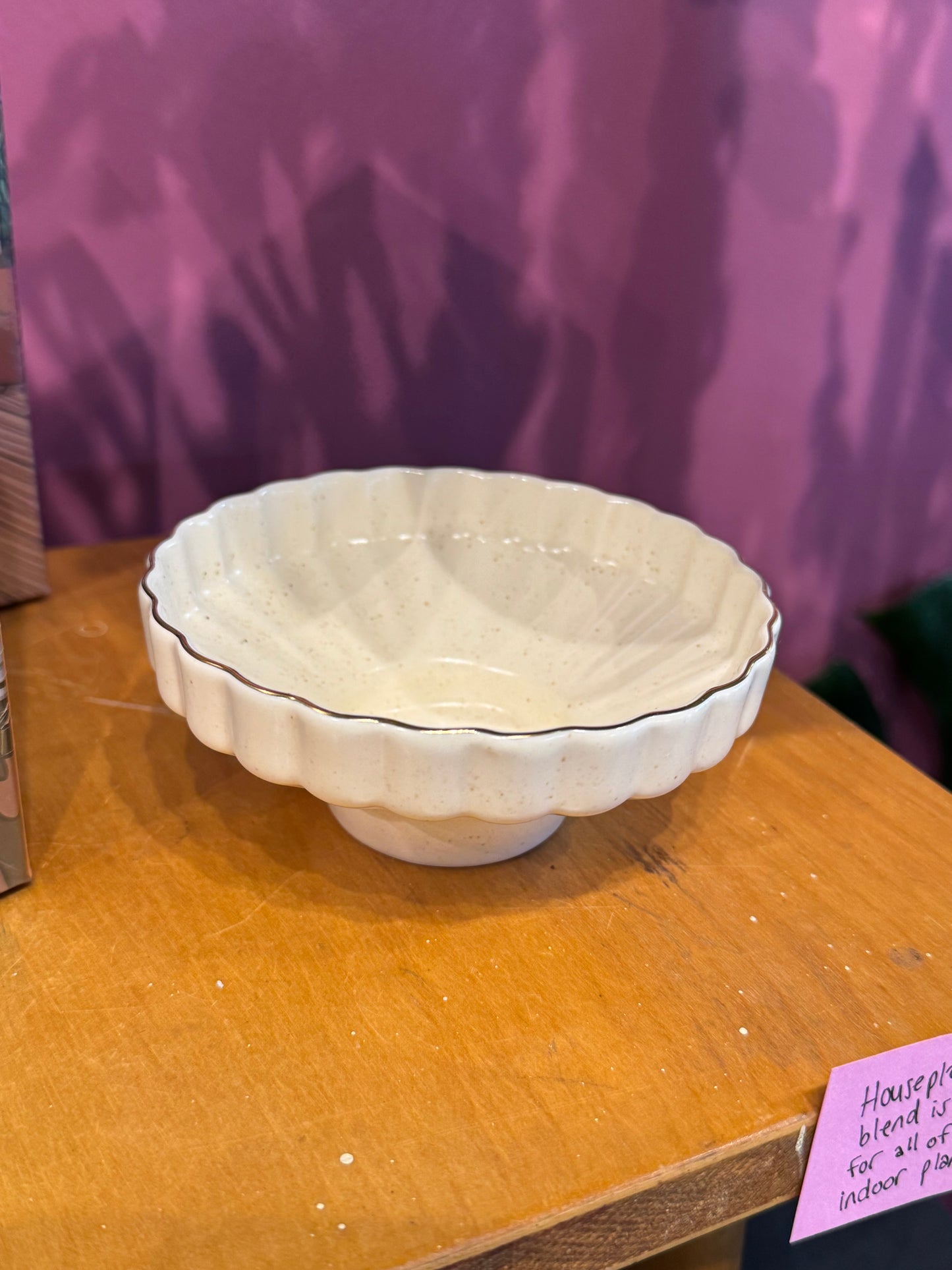 White Speckle Low Bowl Planter