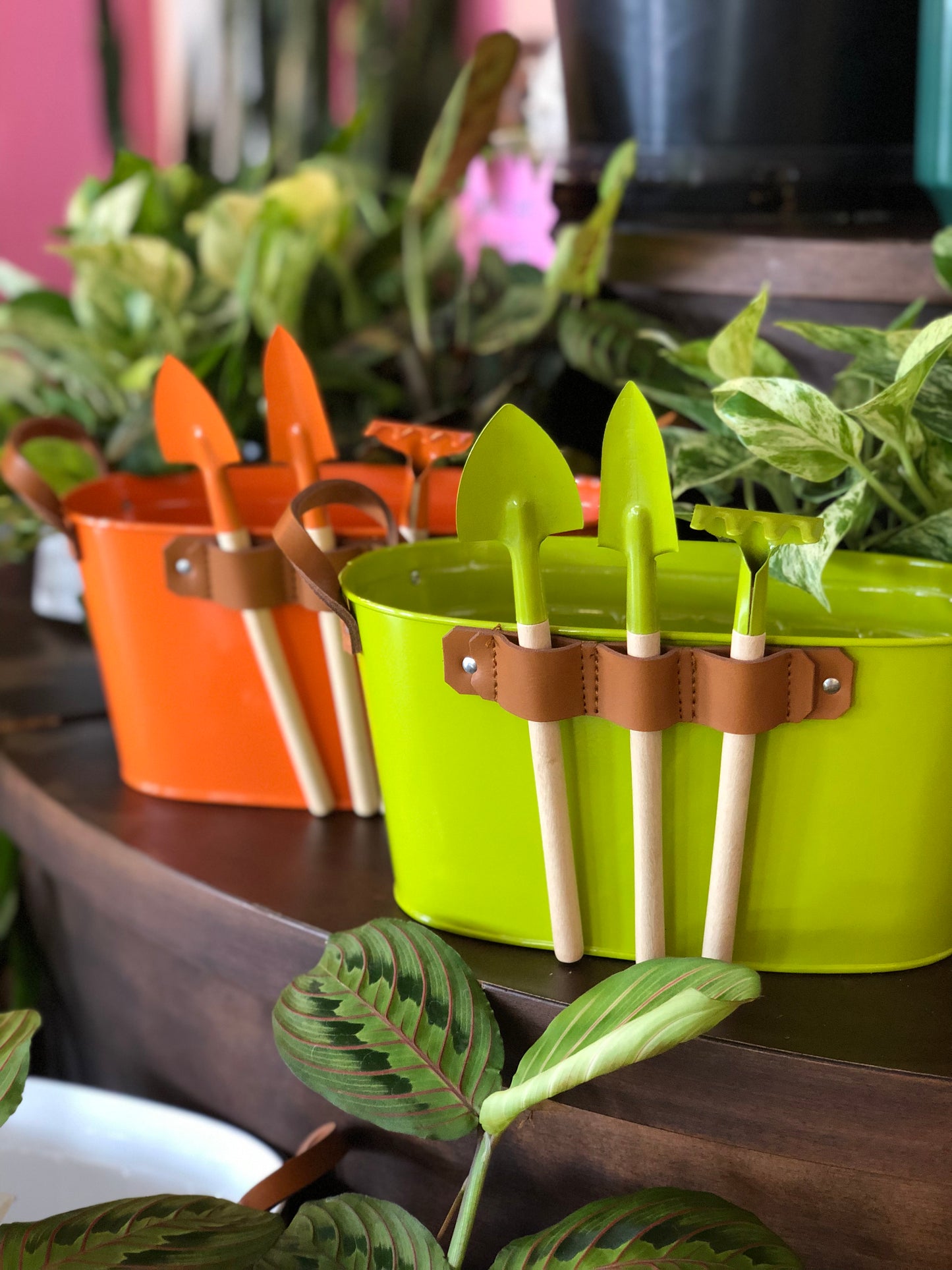 Planter with matching tools