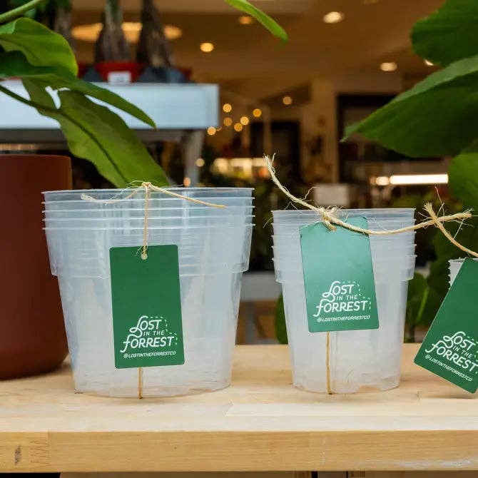 Clear nursery pots
