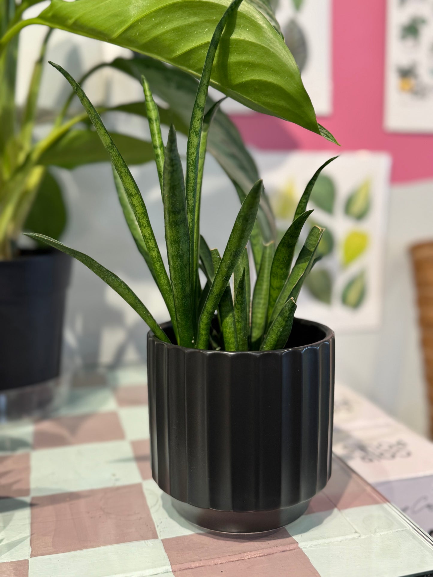 Matte Black Planter