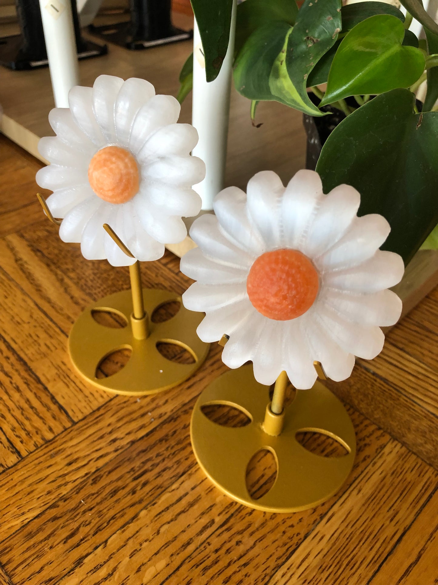 Selenite daisies with stand