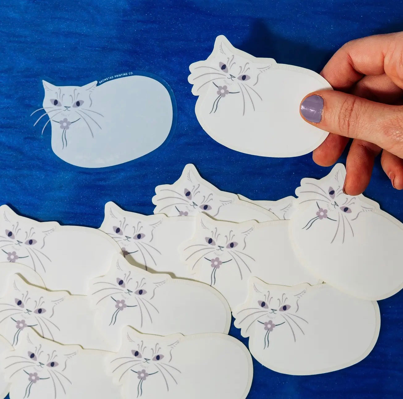Cat loaf clear sticker