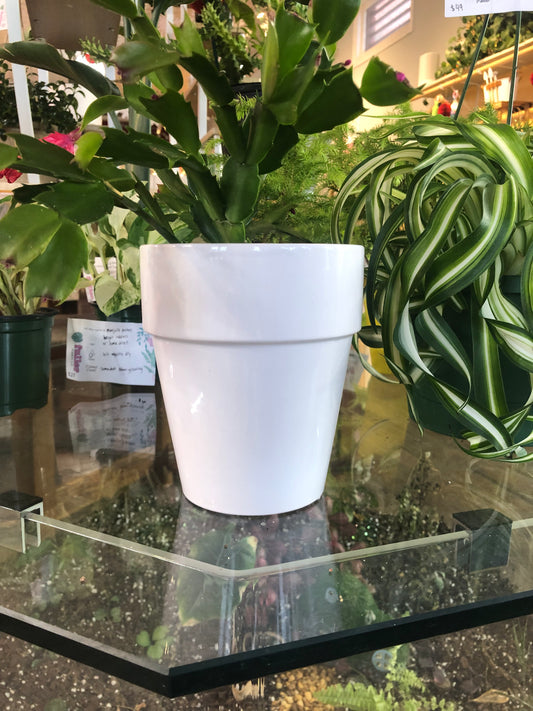 White pot