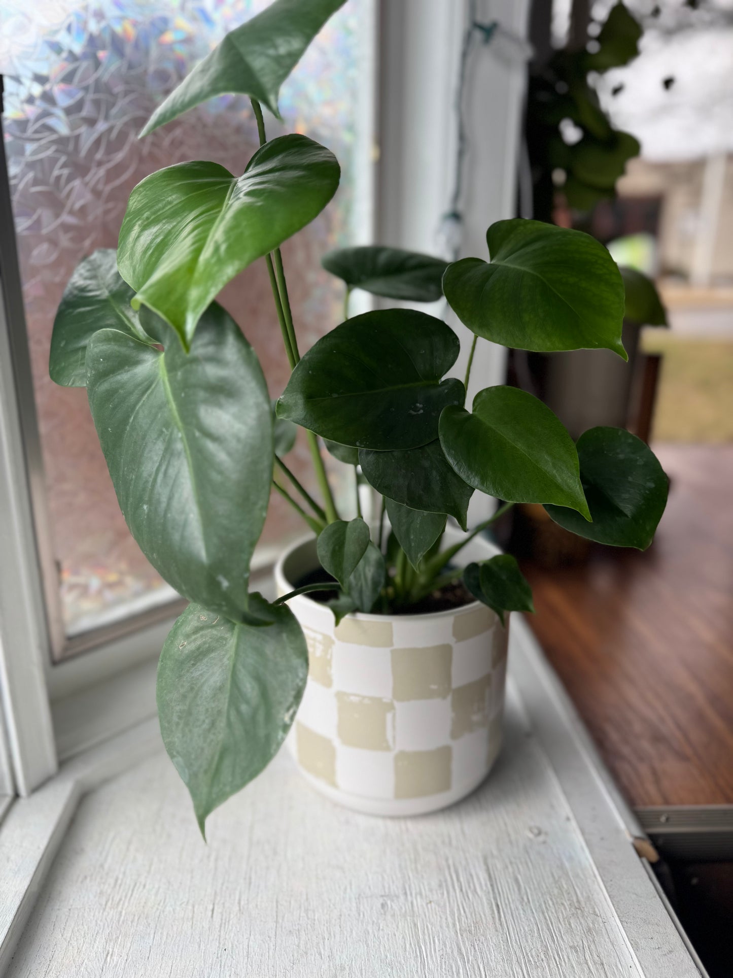 Green Checkered Pot