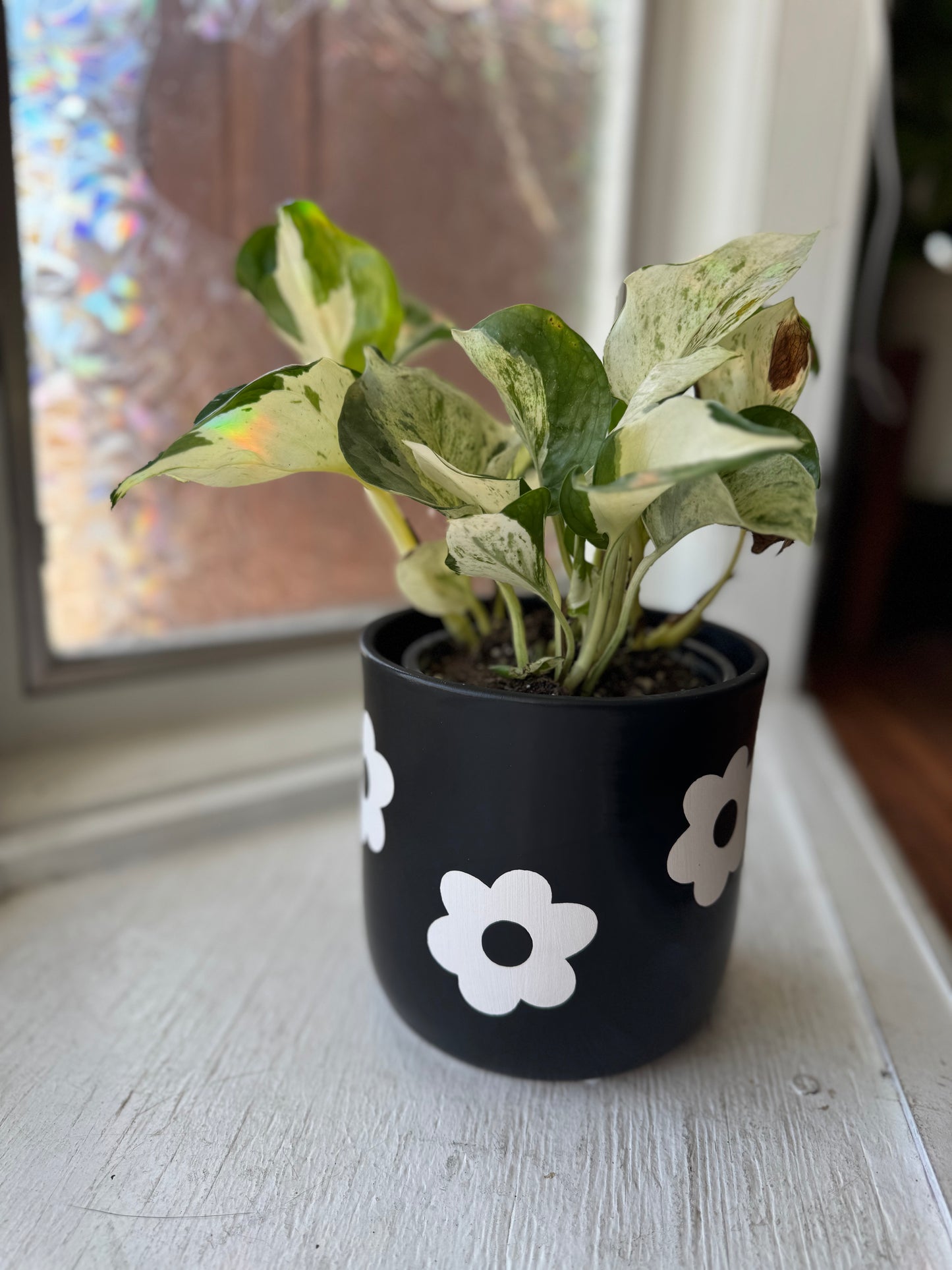 Black & White Flower Pot