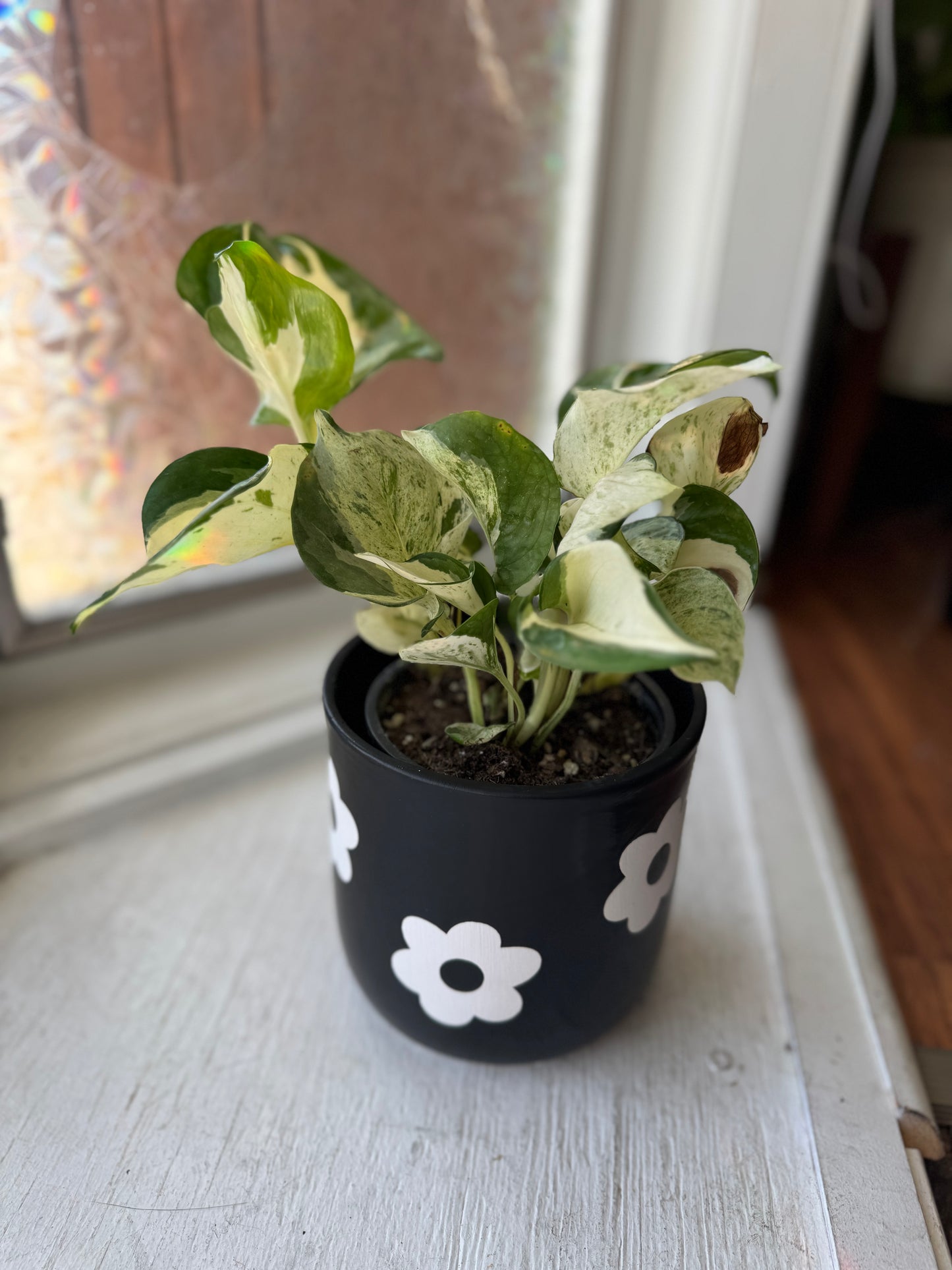 Black & White Flower Pot
