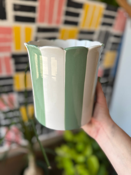 Green Striped Scallop Pot