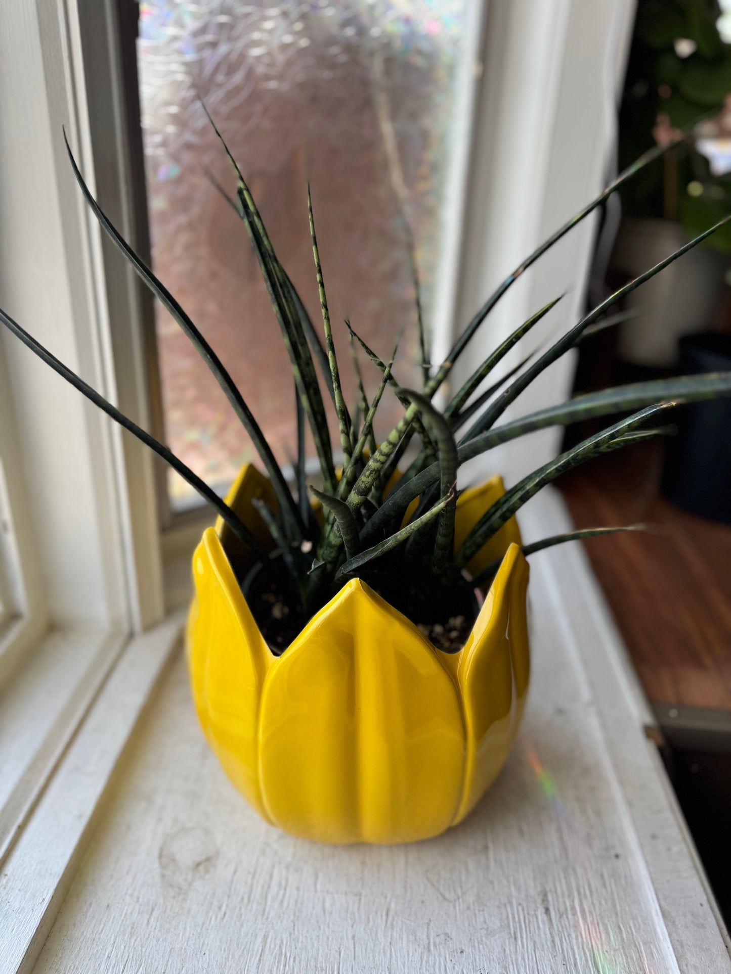 Yellow Tulip Pot