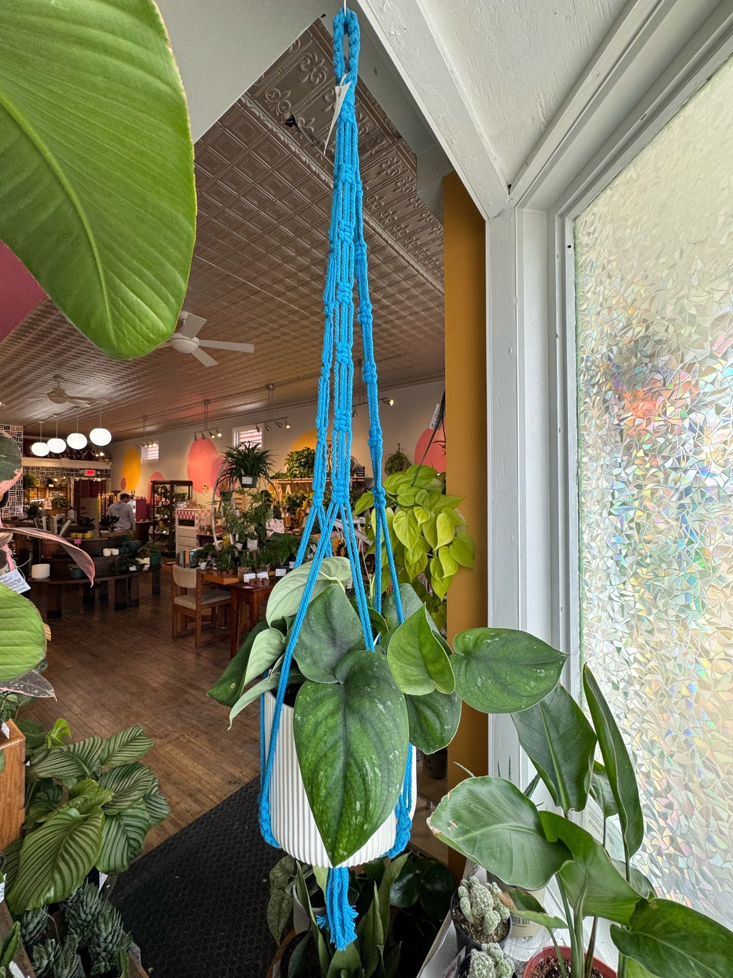 Macrame Hanger w/ Woven Handle