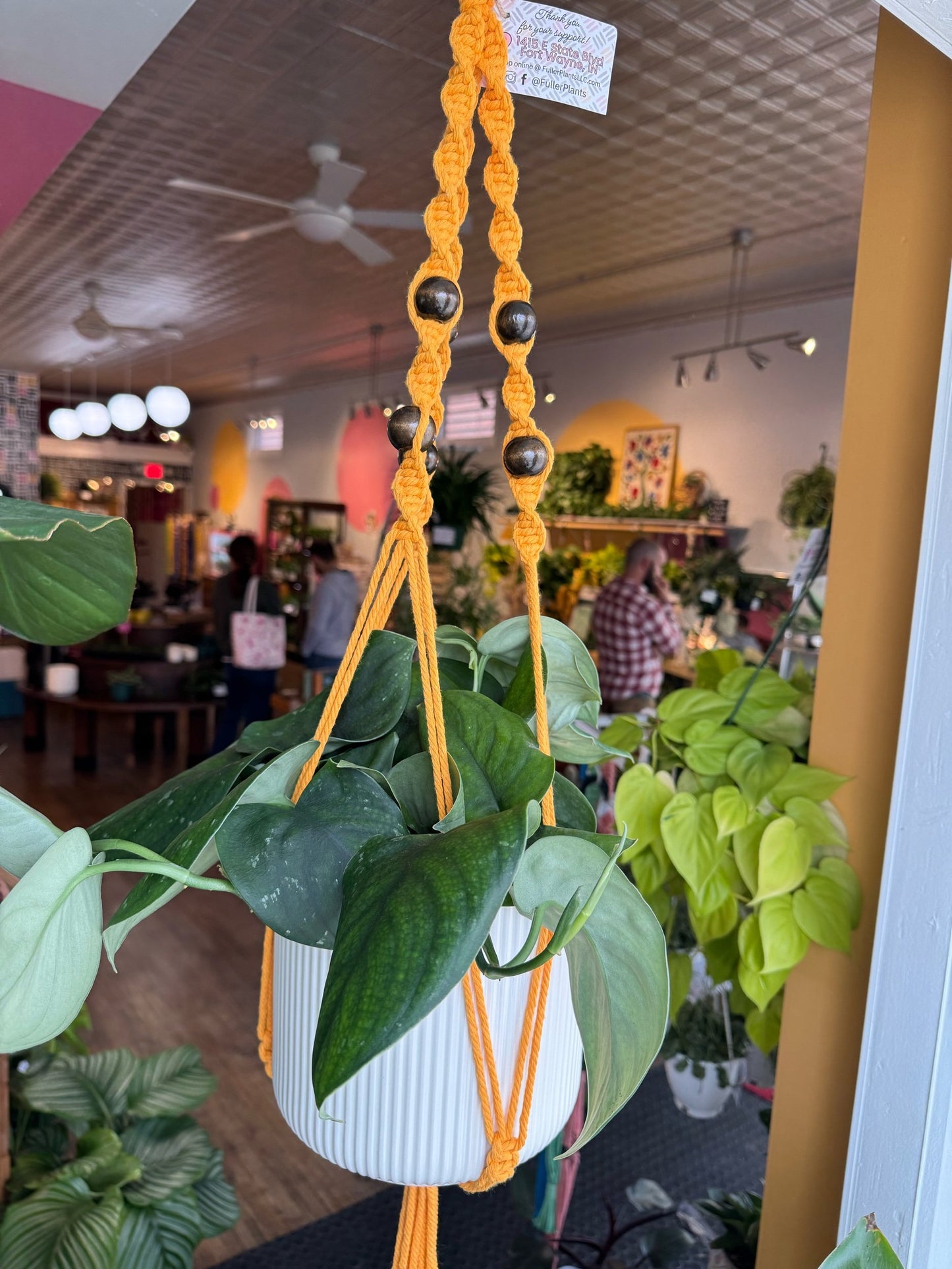 Macrame Hanger w/ Woven Handle