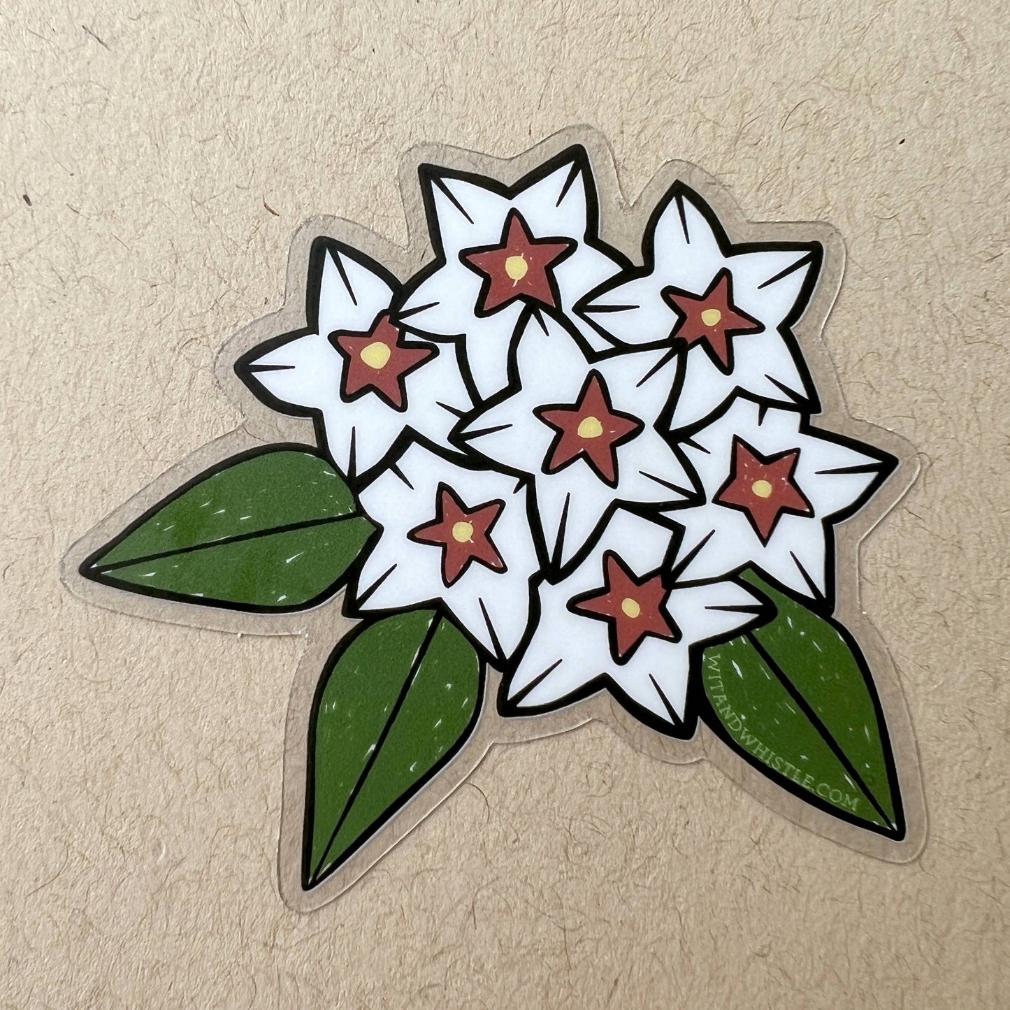 Hoya Bella sticker