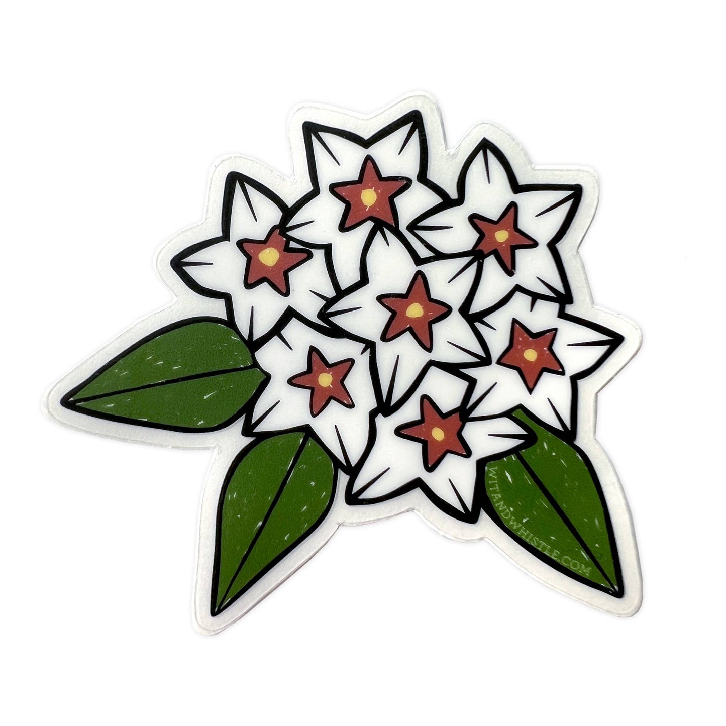 Hoya Bella sticker