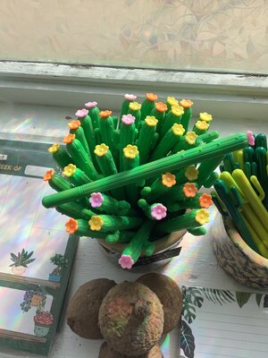 Cactus Pen