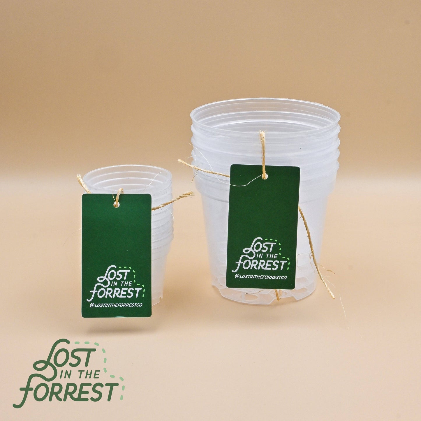 Clear nursery pots