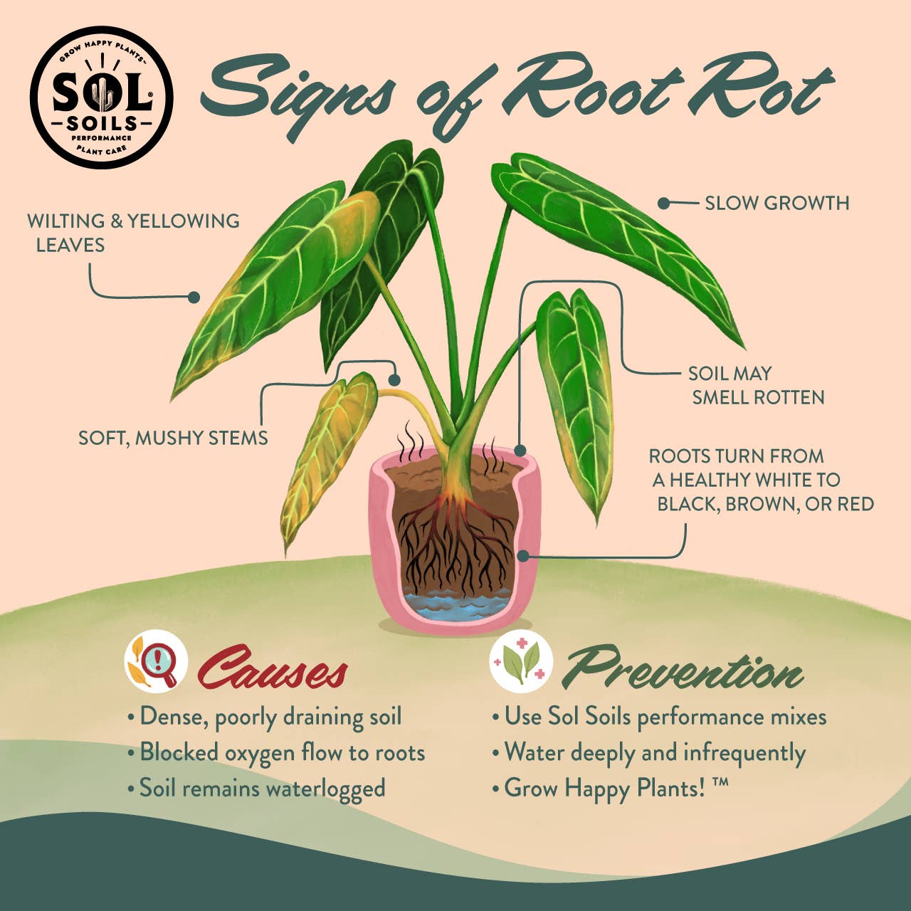 Succulent Gritty Mix (Soilless)(1gal)
