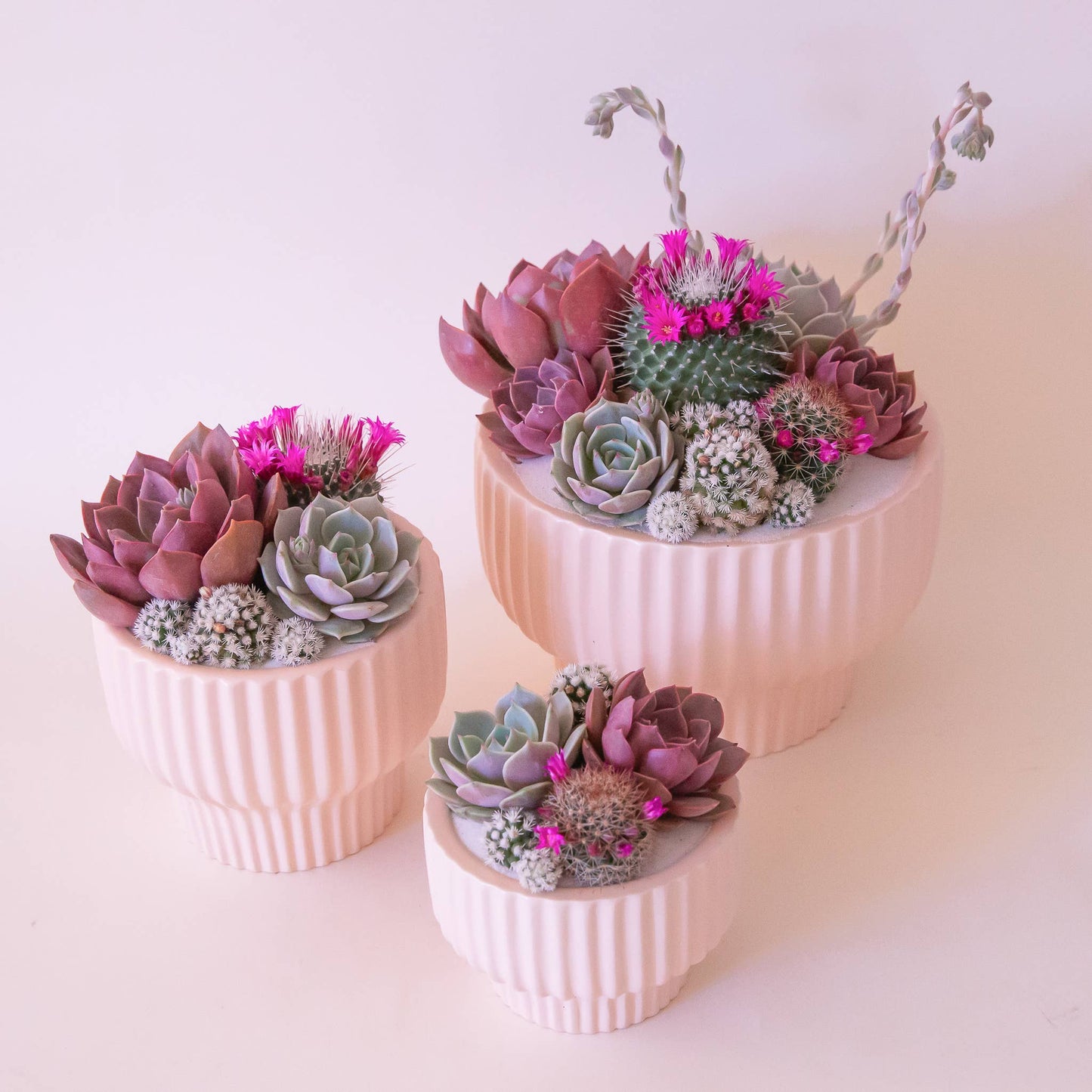 Presley Pedestal Planter | Ballerina / pink