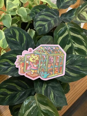 Greenhouse cat cute sticker