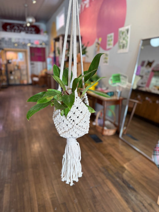 Large  woven Macrame Basket
