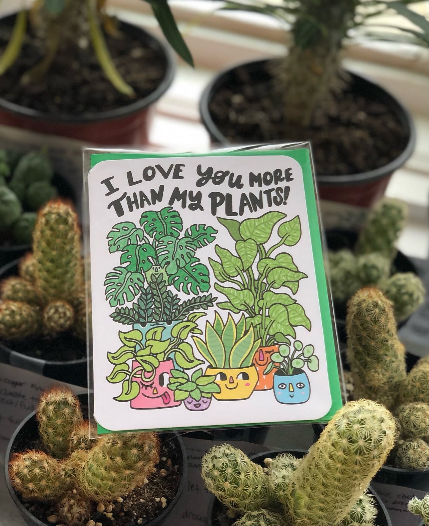 Love you more than my plants greeting card