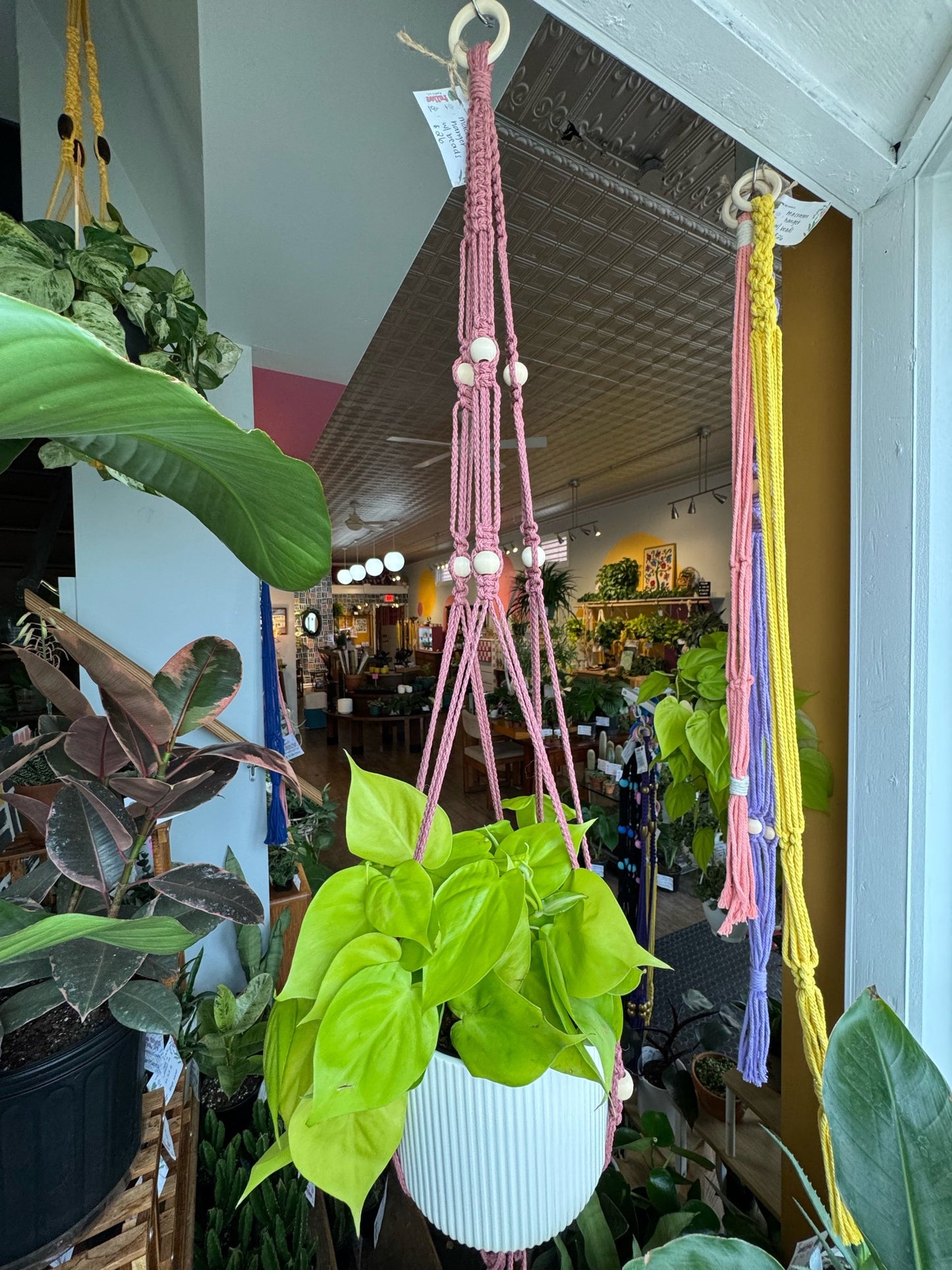 Macrame Hanger w/ Wooden Hoop