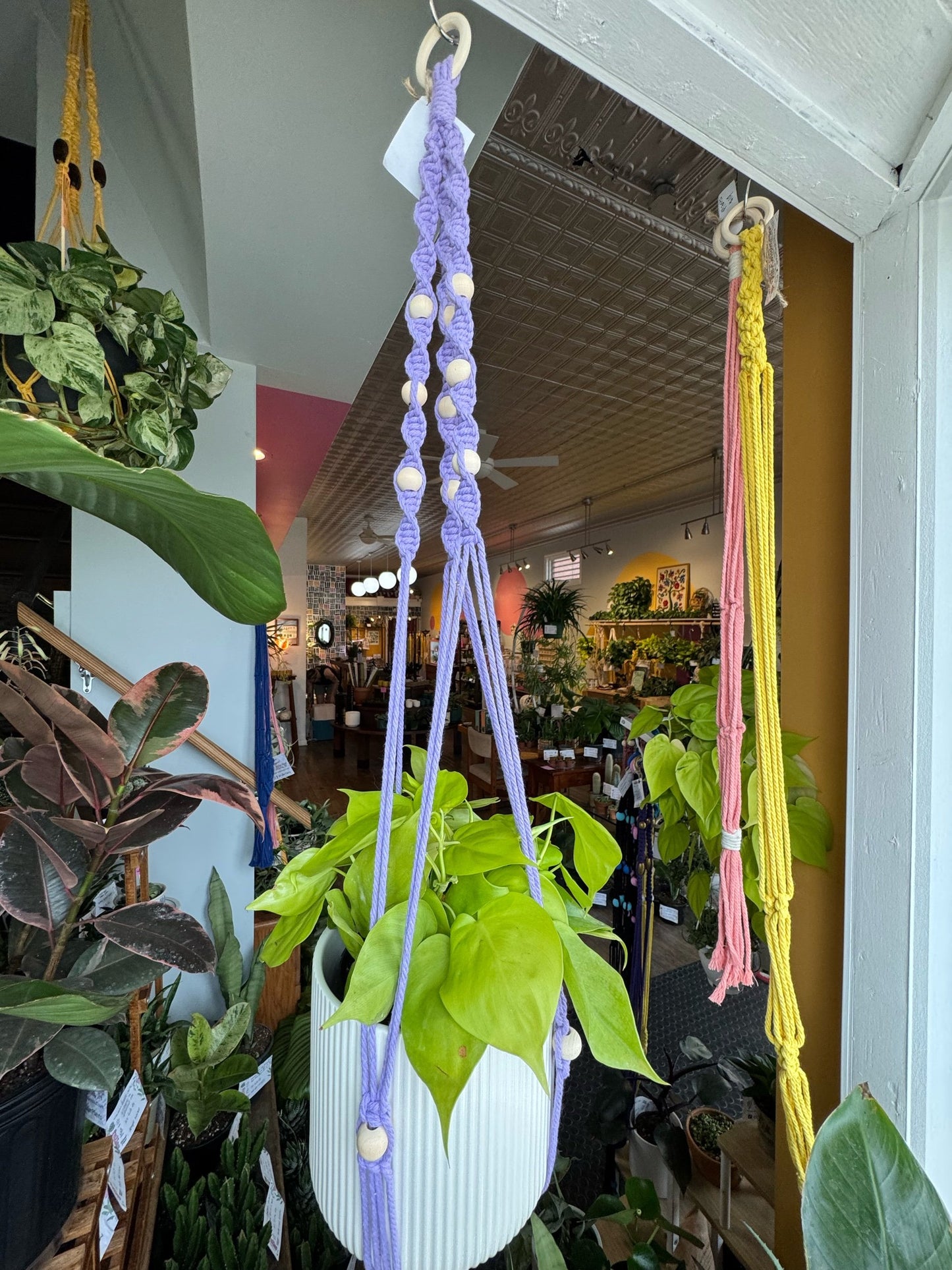 Macrame Hanger w/ Wooden Hoop