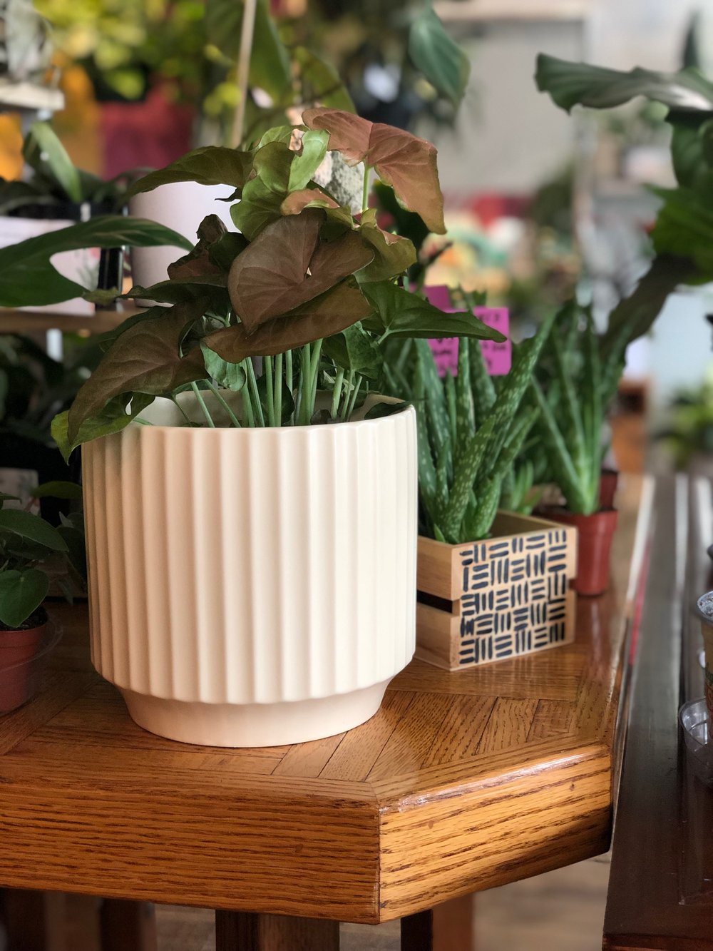 Matte white planter